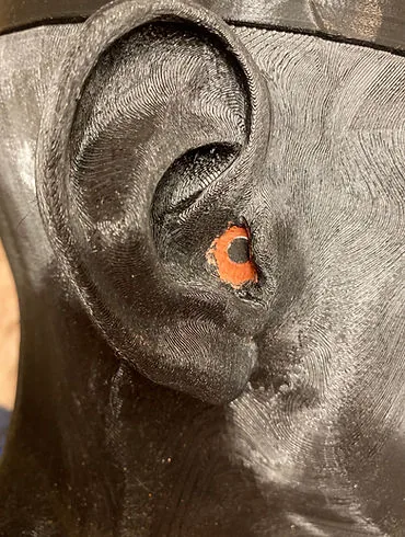 Measuring a blocked ear canal on the binaural head