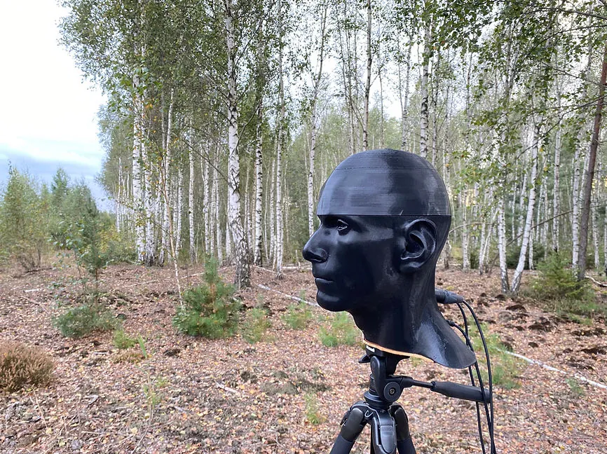 Binaural head printed from flexible TPE, average human size, in a birch forest