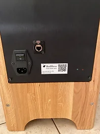 Rear connection panel of the archived Single Speaker Stereo with power inlet, power switch, Ethernet socket, green LED and red LED