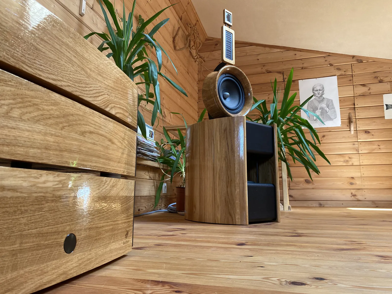 Baffless dipole speaker system in a wood-panelled listening room