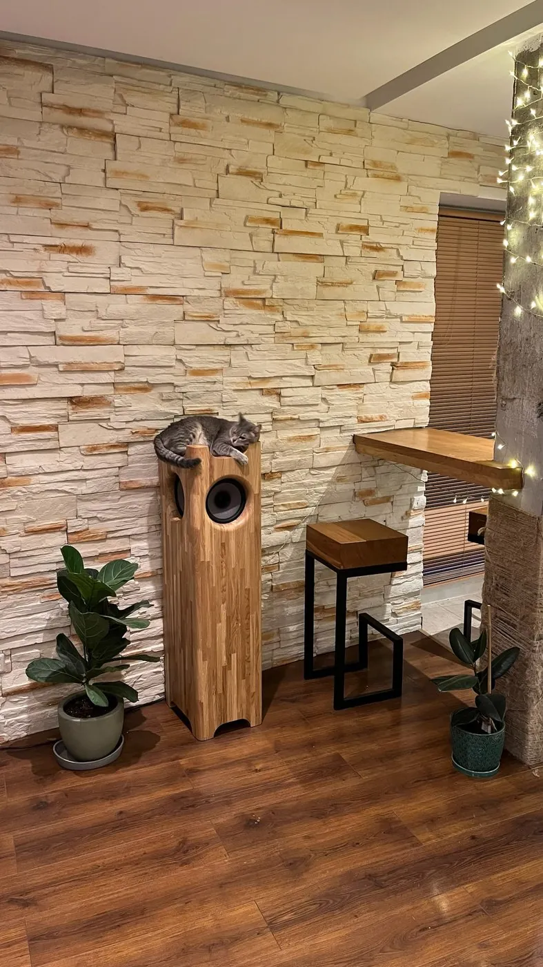 Single Speaker Stereo in a home interior with a cat resting on the oak enclosure